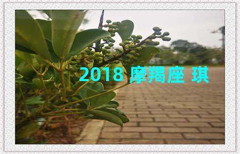 2018 摩羯座 琪